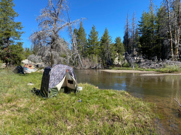 МОРЖ Уценка